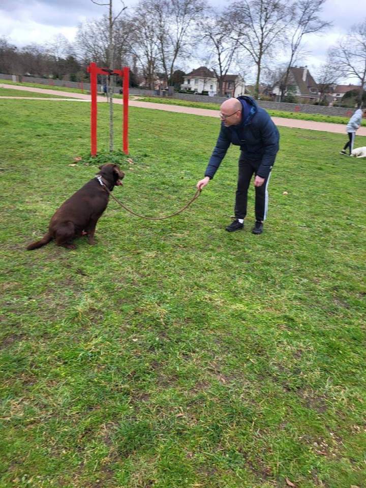 Initiation au mantrailing Elbeuf