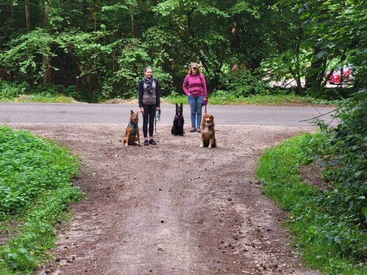 Sorties canines encadrées Elbeuf