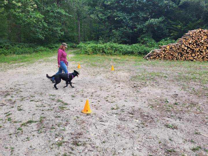 Initiation et pratique du mantrailing.