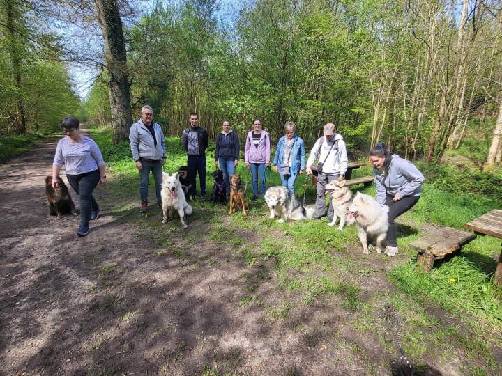Cours collectifs pour la socialisation et l'obéissance.